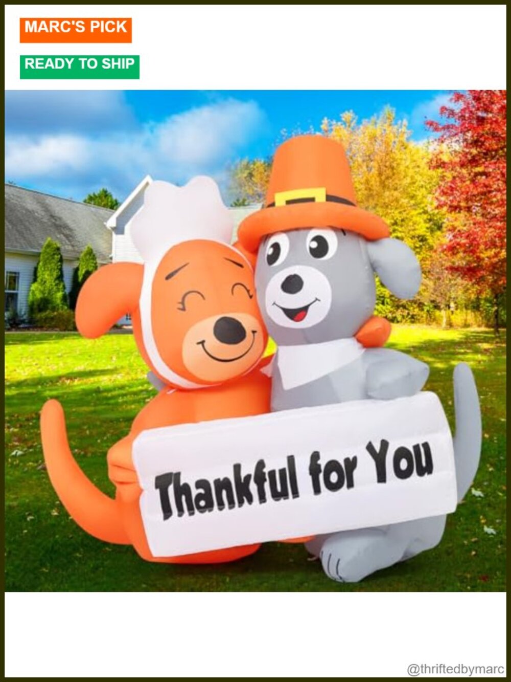 4.3FT Thanksgiving Inflatables Dog Duo Thankful Sign Yard LED Decor